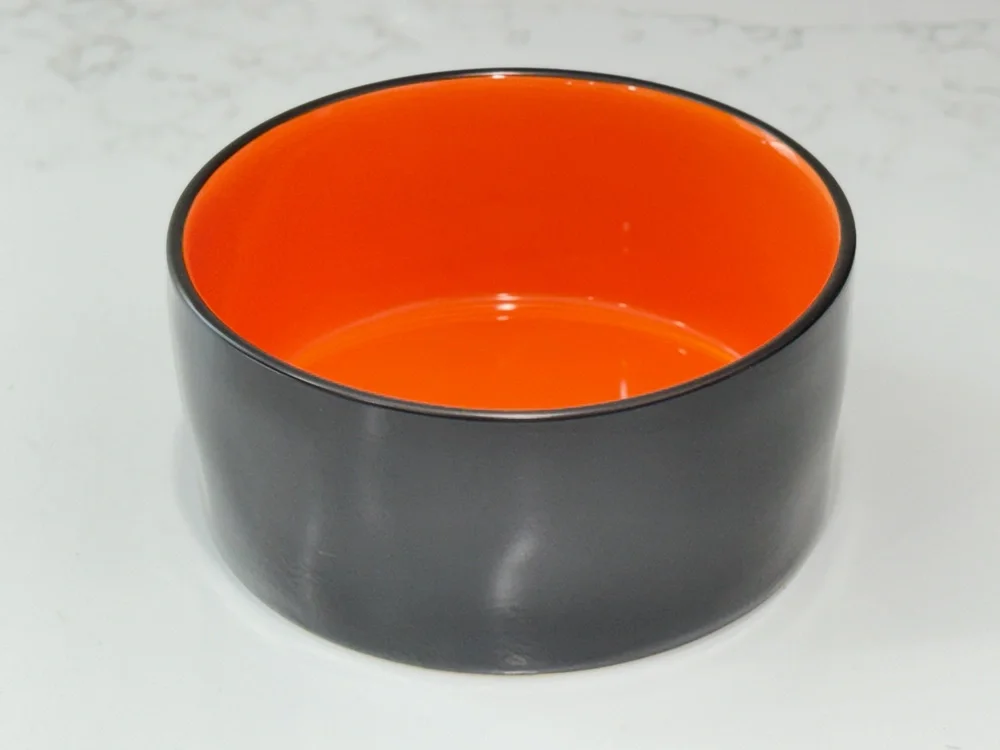 Rae Dunn Beware Of Me Halloween Dog Cat Bowl Black & Orange Ceramic Pet Dish 6
